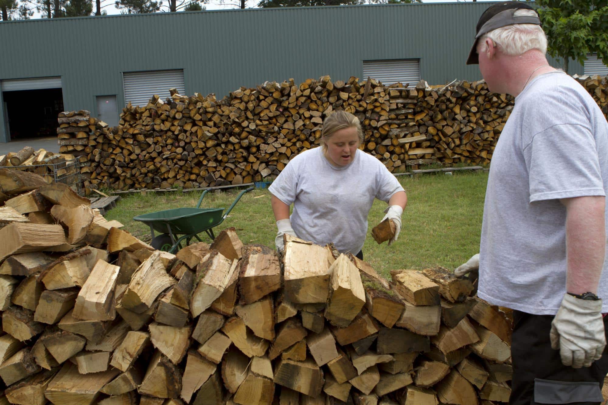 Je cherche du bois de chauffage  Adapei de la Gironde