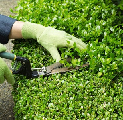 Je souhaite faire entretenir mon jardin