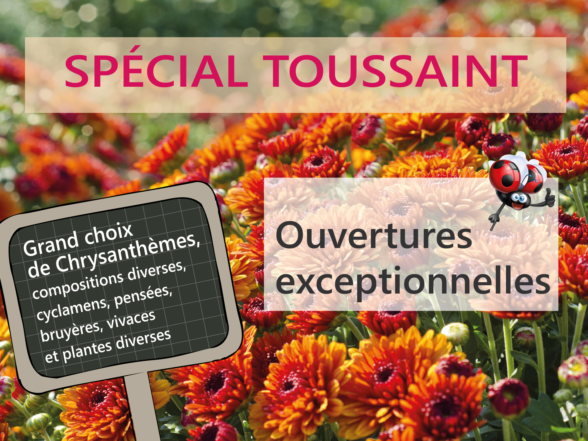 Toussaint <br> Ouvertures exceptionnelles des Serres et jardineries
