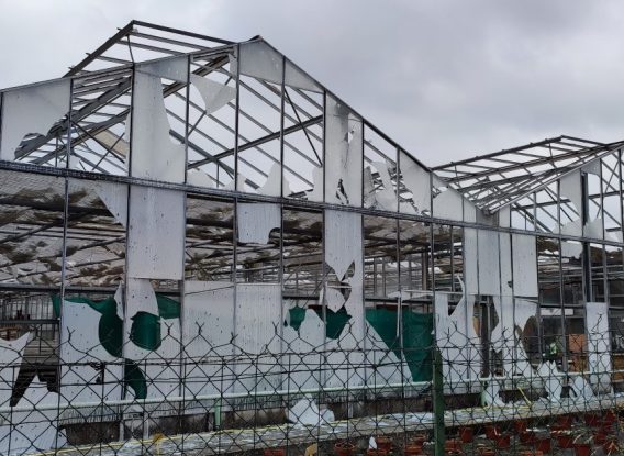 INTEMPÉRIES – Réouverture de la Jardinerie du Haut-Mexant après la grêle !