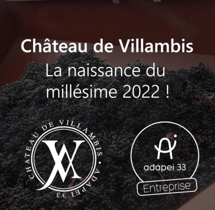 [CHÂTEAU DE VILLAMBIS] Désormais il peut s’ajouter au panier + Vidéo !