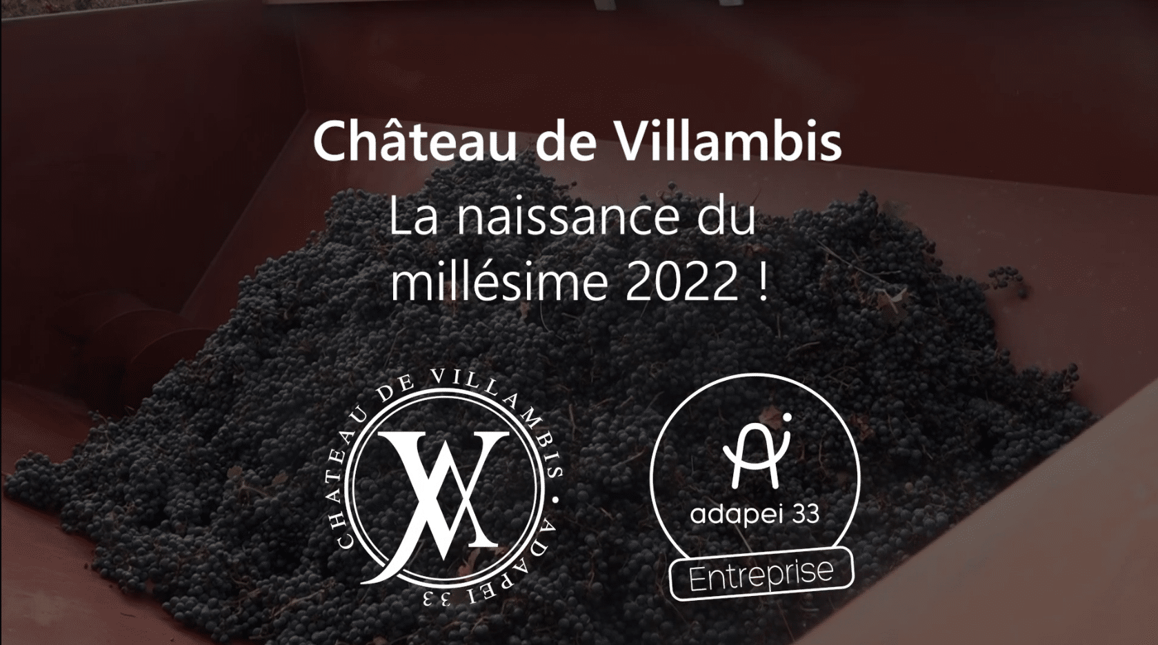 [CHÂTEAU DE VILLAMBIS] Désormais il peut s’ajouter au panier + Vidéo !