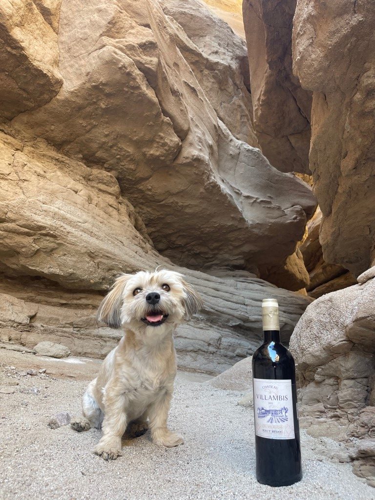 bouteille chateau de villambis a coté d'un chien dans un canyon