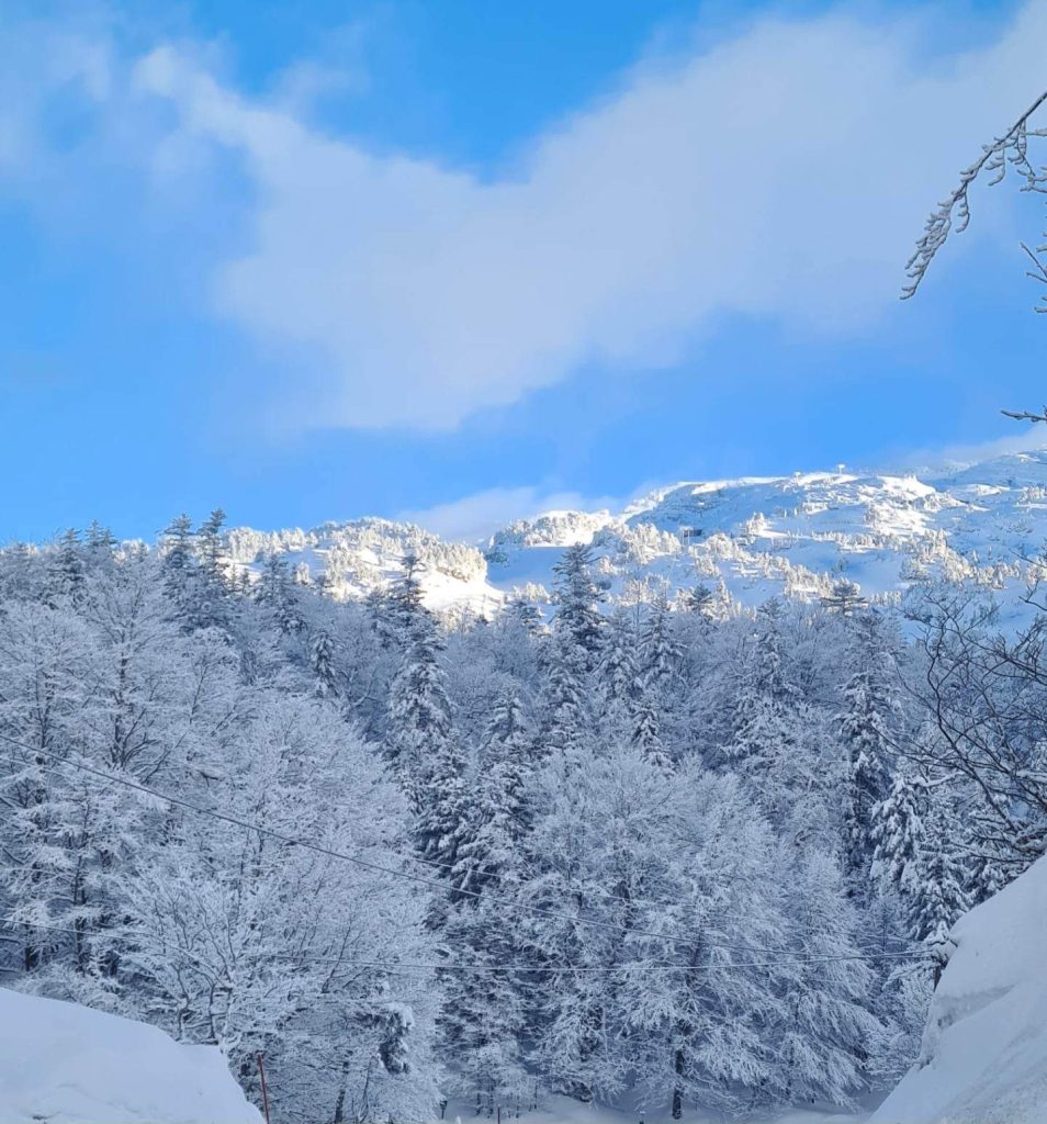 paysage pyrénéen