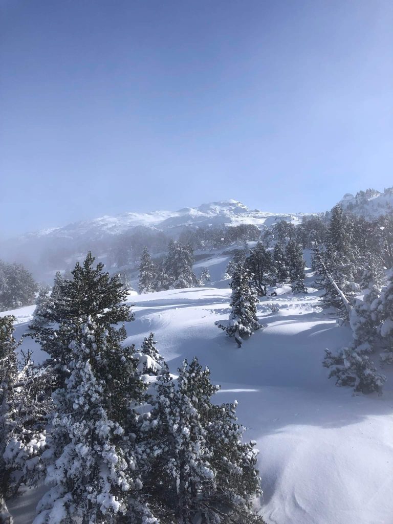 paysage pyrénéen