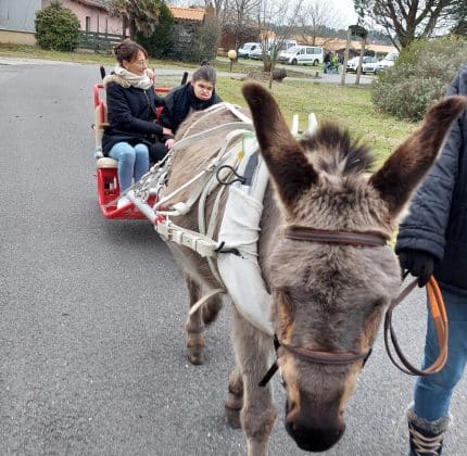 [SORTIE] La MAS de Biganos à cheval…