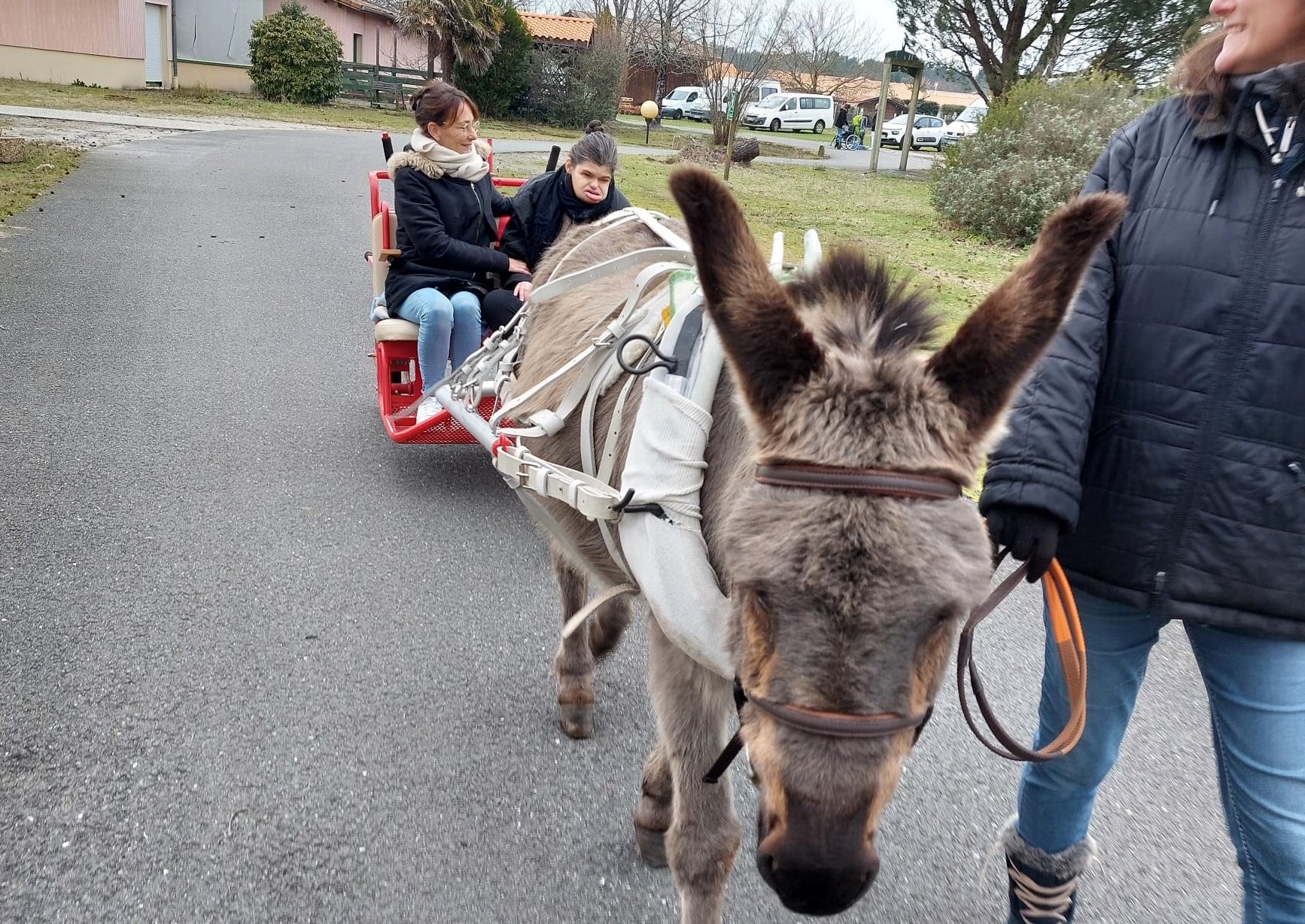 [SORTIE] La MAS de Biganos à cheval…