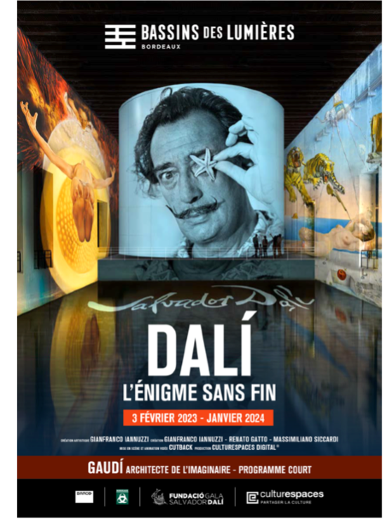 Le foyer de Saint-Michel de Rieufret découvre «Dalí, l’énigme sans fin» aux Bassins des Lumières