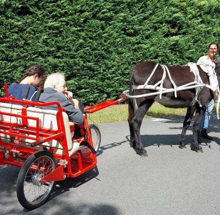 [MÉDIATION ANIMALE] Une balade en calèche pour clôturer l’été à Biganos !