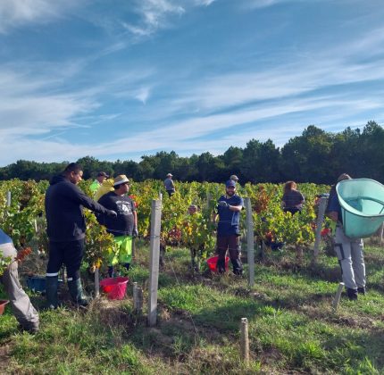 [CHÂTEAU DE VILLAMBIS] Top départ pour des vendanges 2023 prometteuses !