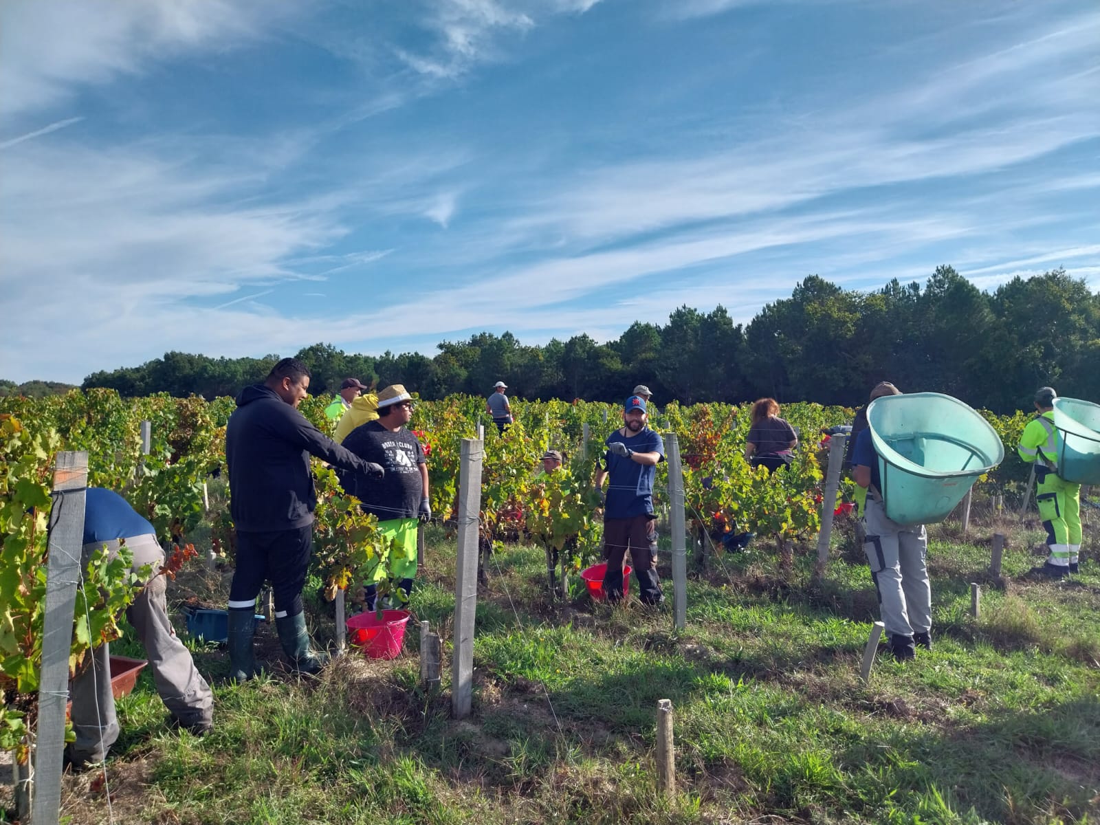 [CHÂTEAU DE VILLAMBIS] Top départ pour des vendanges 2023 prometteuses !