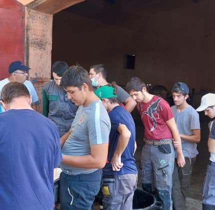 [VENDANGES 2023] Les jeunes de l’IMPro se joignent aux vendanges de Villambis !