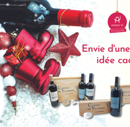 [CHATEAU DE VILLAMBIS] Pour Noël… offrez du Villambis !