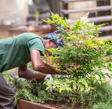 [ESPACES VERTS & HORTICULTURE] Réactivité, rapidité, et qualité… c’est possible !