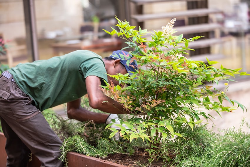 [ESPACES VERTS & HORTICULTURE] Réactivité, rapidité, et qualité… c’est possible !