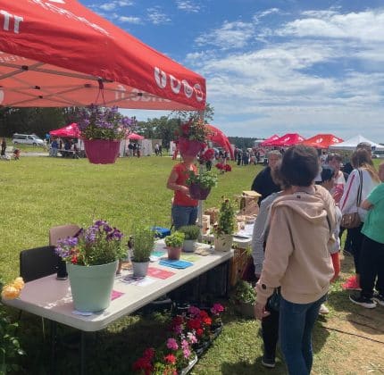 [ÉVÉNEMENT] Festival Handi’ et Cap à Vertheuil