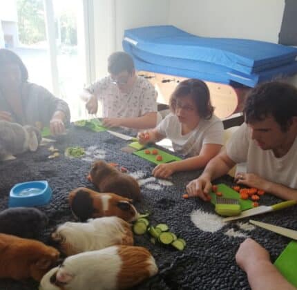 Favoriser le bien-être via les animaux au FO La Réole