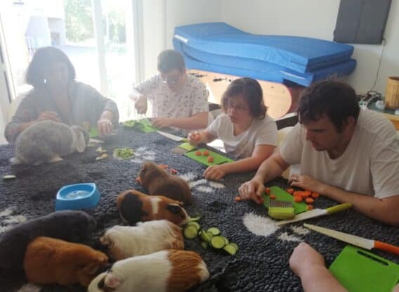 Favoriser le bien-être via les animaux au FO La Réole