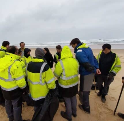 Les équipes Espaces Verts de l’ESAT Audenge mobilisées pour la préservation du littoral