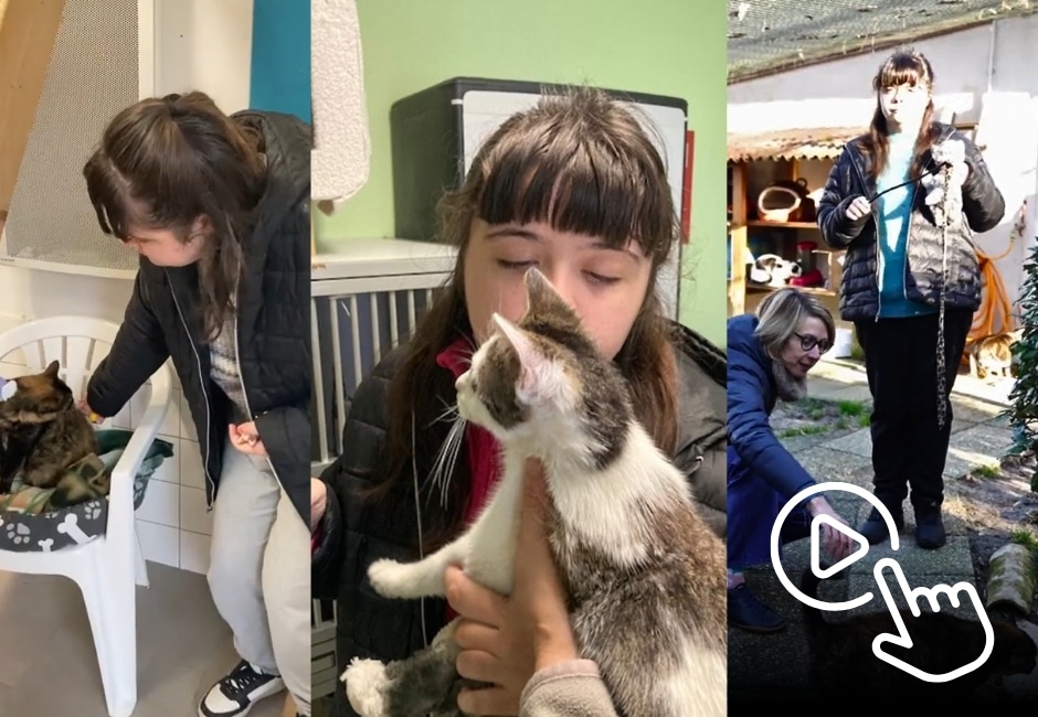 Médiation animale à l’IME Taussat : un partenariat toujours aussi inspirant !