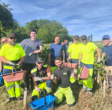 Vendanges 2026 : une belle récolte au Château de Villambis !
